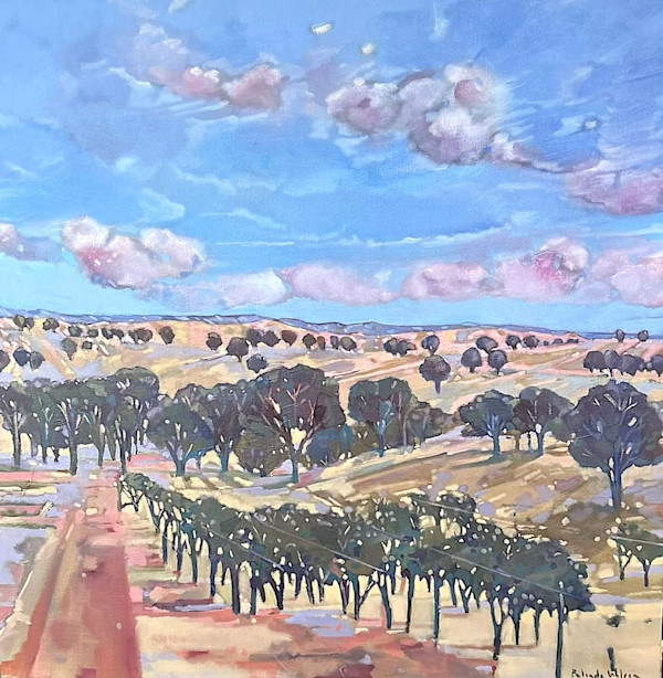 Seppeltsfield Spendour by Belinda Wilson, Image 1.