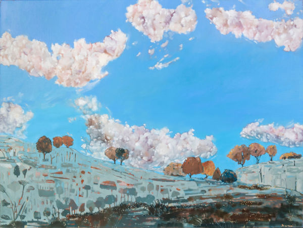 Catching clouds by Belinda Wilson