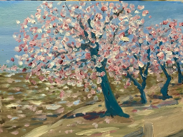 Cherry Blossom Bonanza by john macarthur