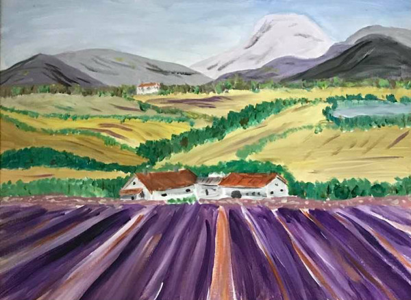 Lavender_Farm_2_Provence_France-org_nnfewb_8 by john macarthur
