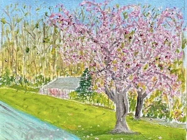 Brookside Blossoms by john macarthur
