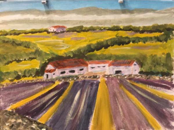 lavender_farm_1_Provence_France-org_czmorg_13 by john macarthur