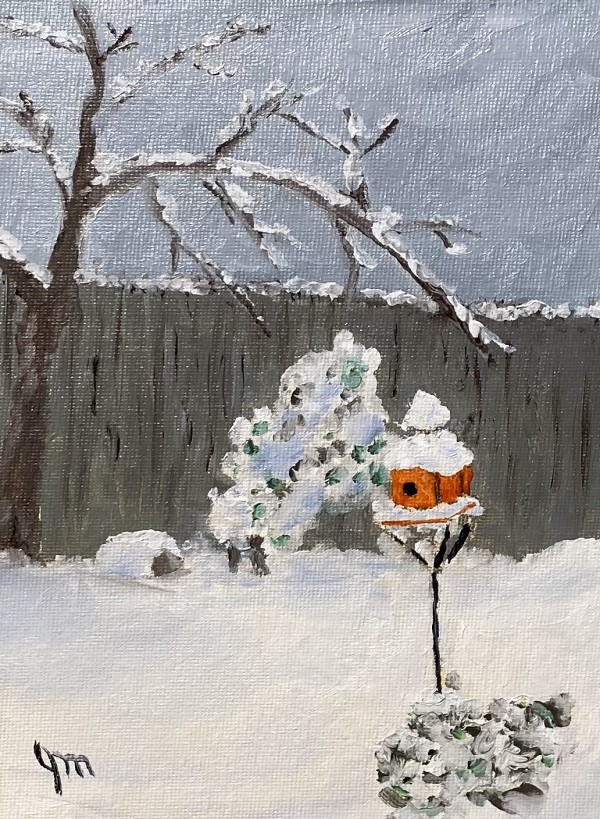 snow_bird_time by john macarthur