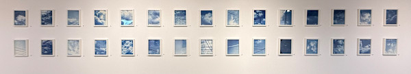 Entanglement Theory Cyanotype Series by Krista Machovina