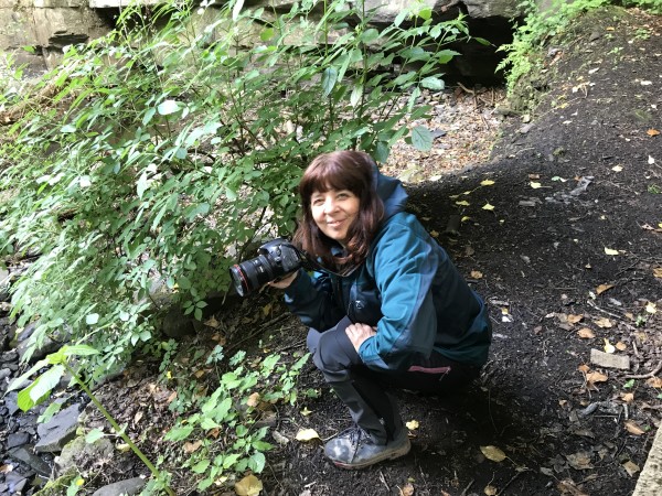 camera shot