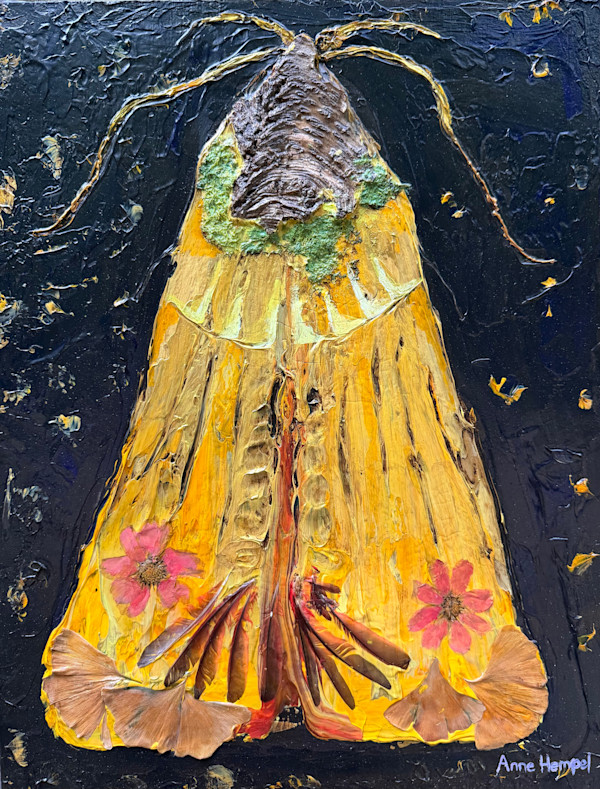 Golden Moth at Night by Anne Hempel, Image 1.