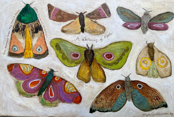 Moth Collection by Anne Hempel