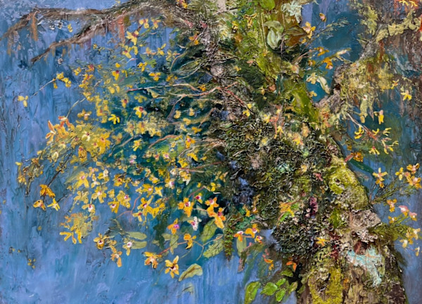 Butterfly Orchids on Oak by Anne Hempel
