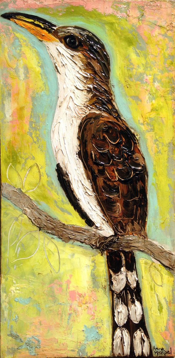 Yellowbilled Cuckoo by Anne Hempel