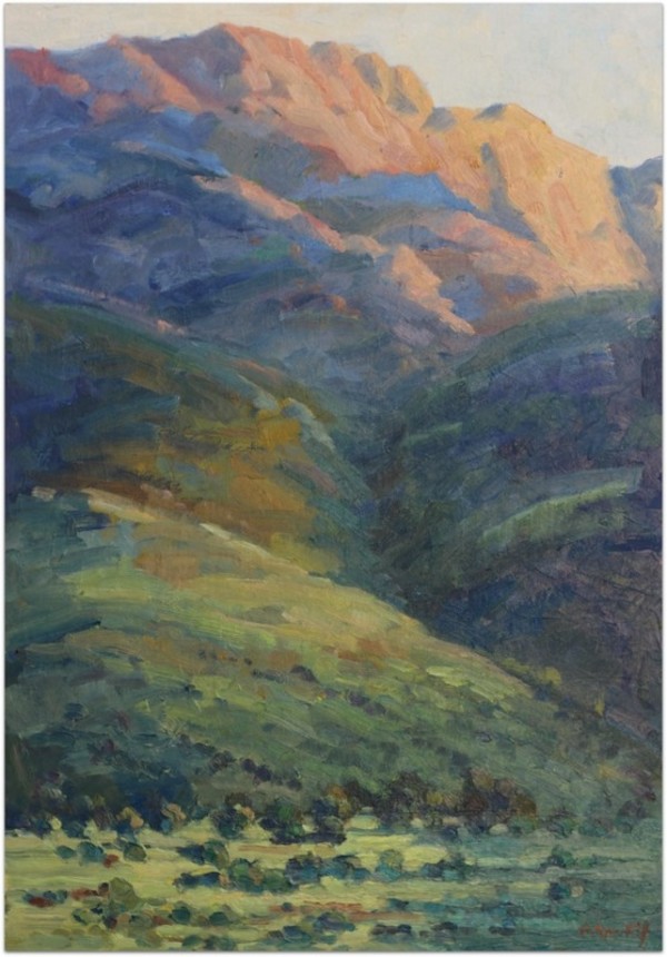 Overberg Morning Light by Malcolm Dewey
