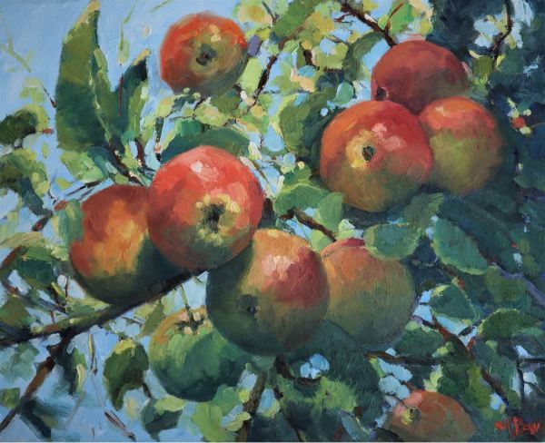 Apples by Malcolm Dewey