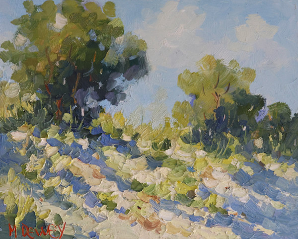 Desert Shade by Malcolm Dewey