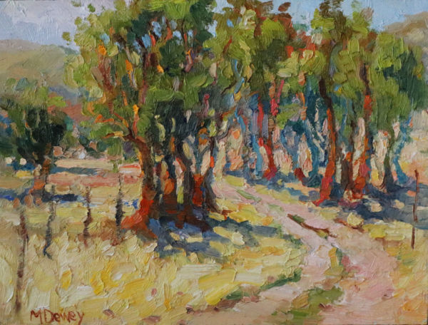 Farm Road Overberg by Malcolm Dewey