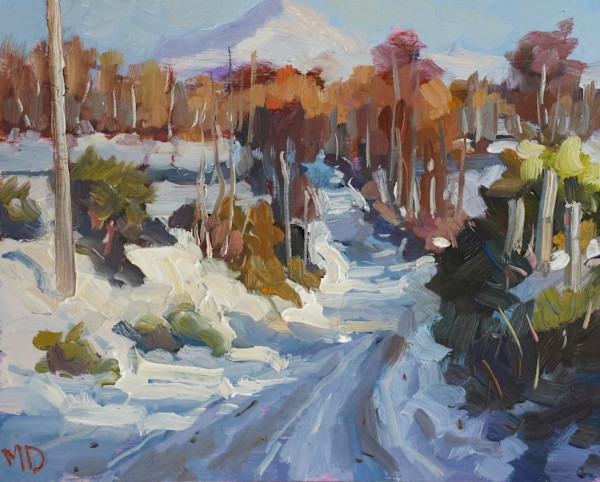 Irish Winter by Malcolm Dewey