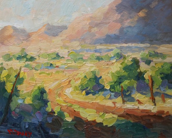 Karoo Farmscape by Malcolm Dewey