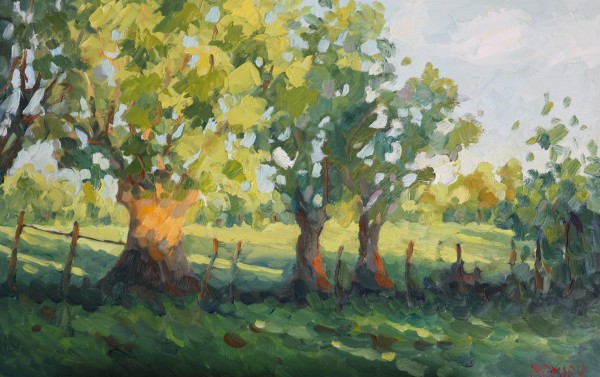 Meadow Light by Malcolm Dewey