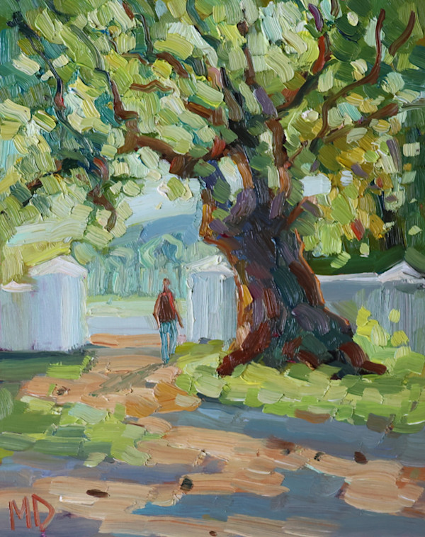 Oak Tree Light by Malcolm Dewey