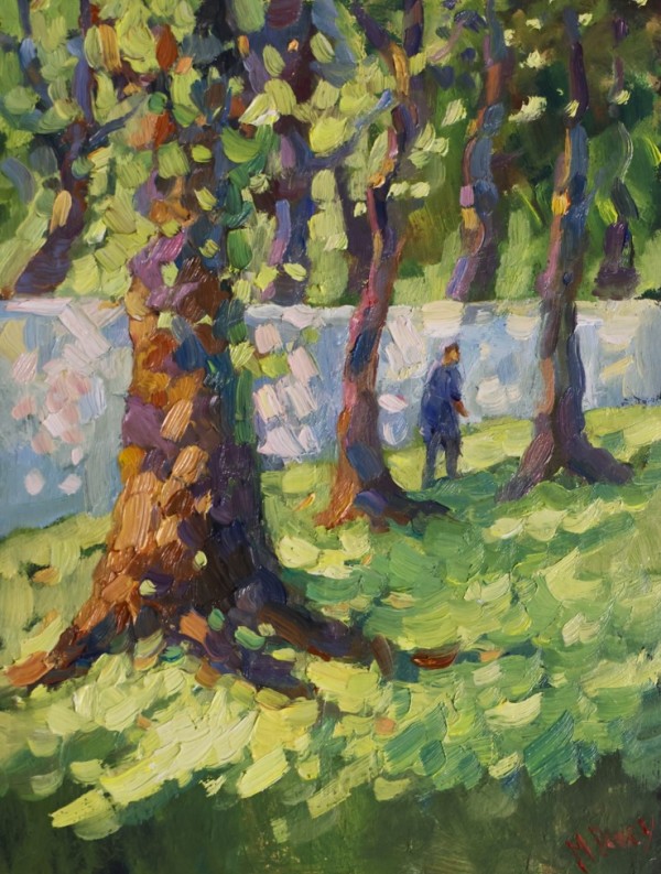 Oak Trees Boschendal by Malcolm Dewey