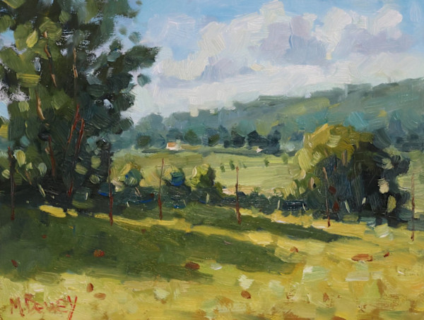 Summer Field with Shadows by Malcolm Dewey