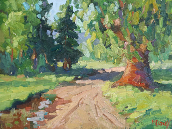 Summer in the Cape by Malcolm Dewey