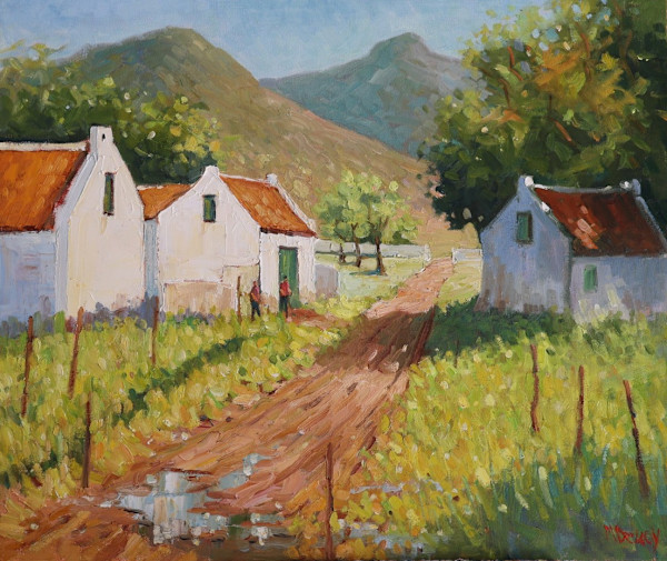 Cape Summer by Malcolm Dewey