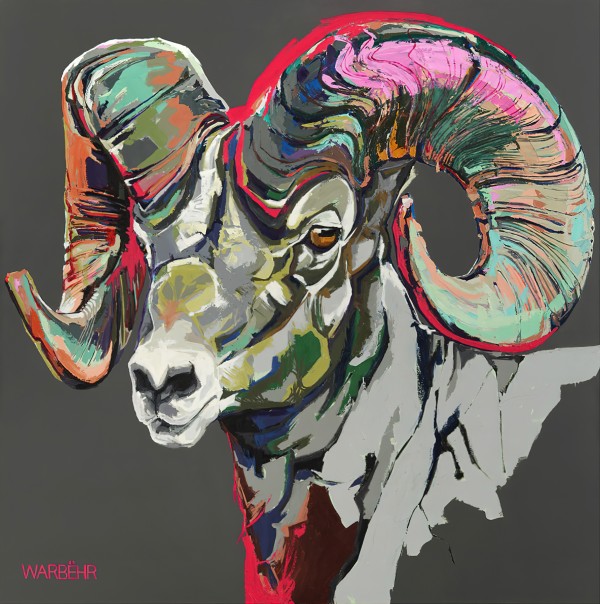 Wild Ram with Magenta Horizon