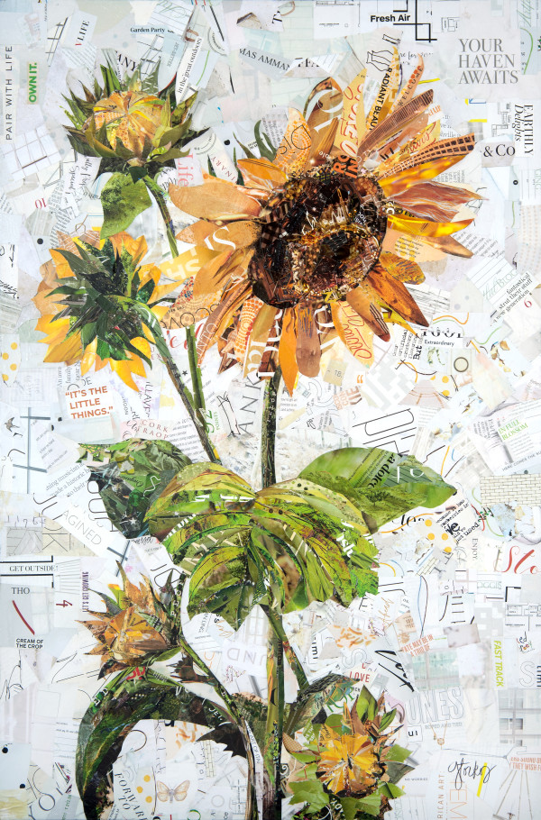 Sunflower Garden by Gina Torkos