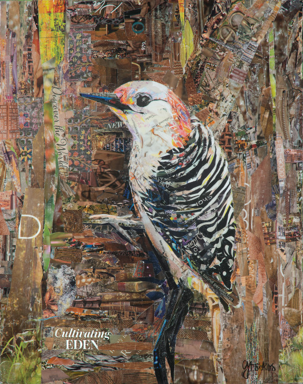 Woodpecker by Gina Torkos