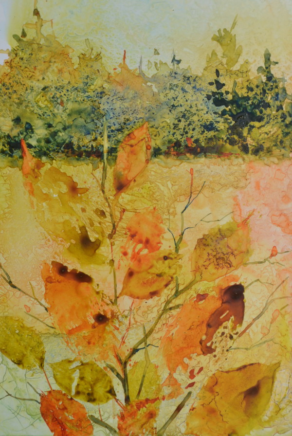 Autumn Light by Mary Wojciechowski