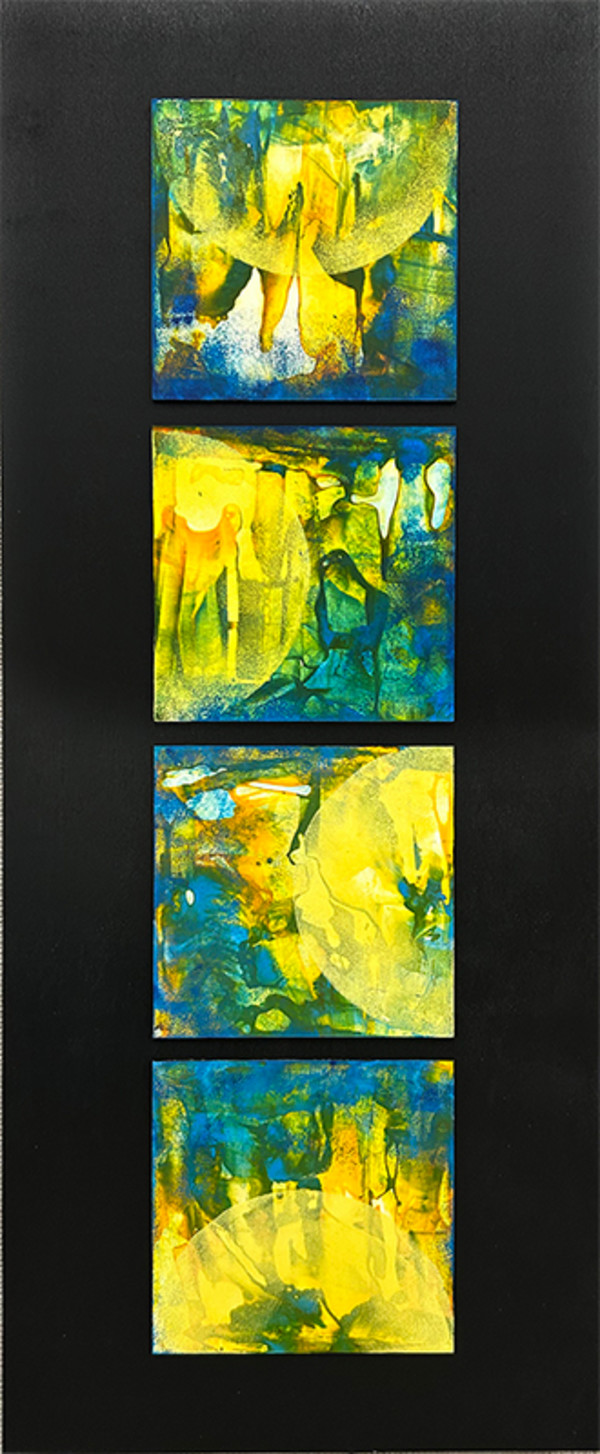 Luminous Journey by Anya McManis