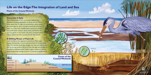 z CA100 Malibu Lagoon