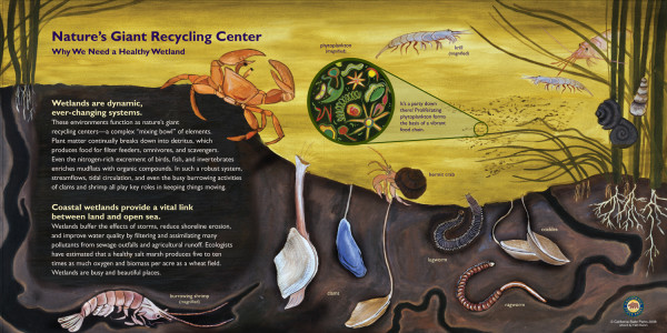 z CA100 Malibu Lagoon