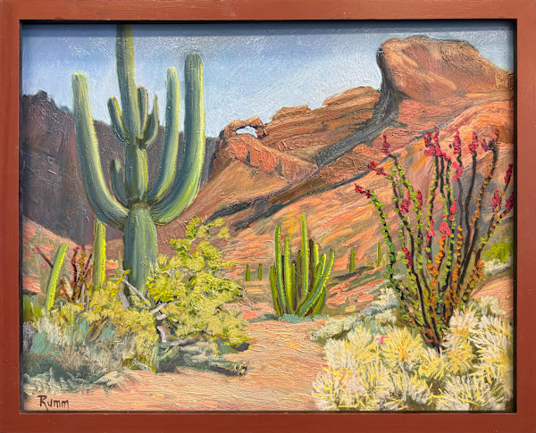 Along the Ajo Mountain Road, Organ Pipe Cactus NM by Faith Rumm