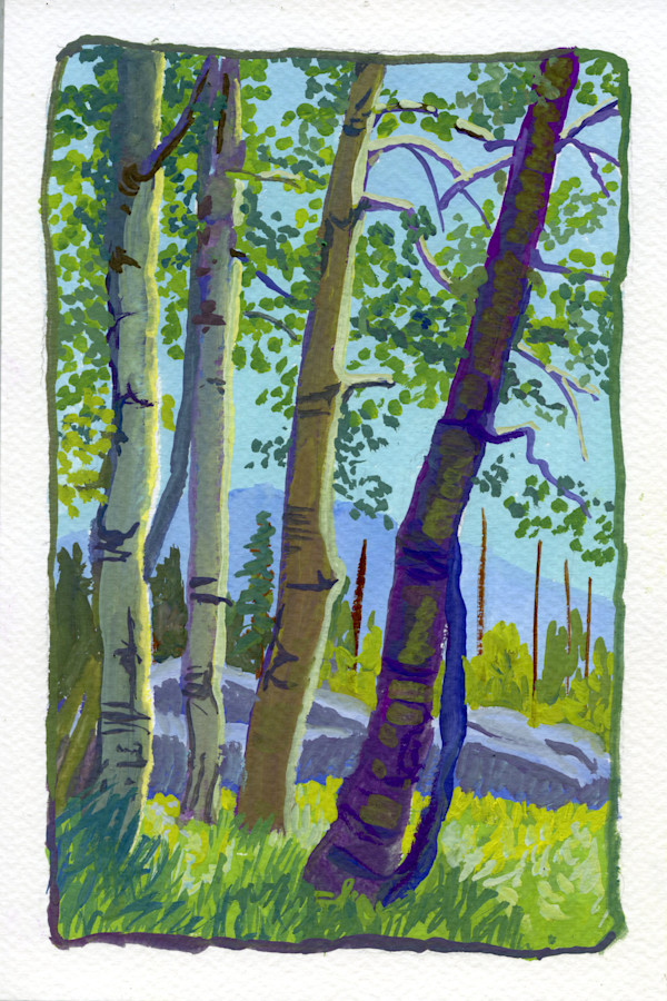 Aspens Near Glen Aulin by Faith Rumm