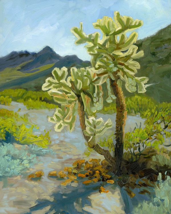 Backlit Cholla by Faith Rumm