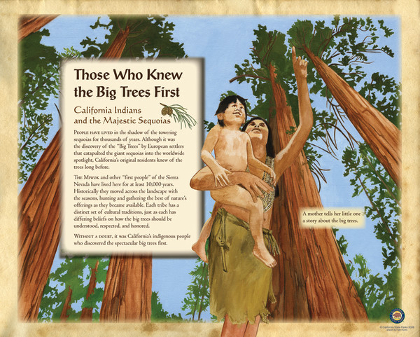 z CA100 Calaveras Native