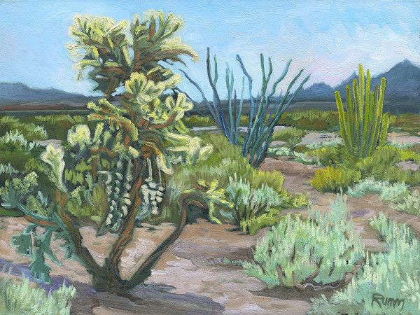 Chain-fruit Cholla by Faith Rumm