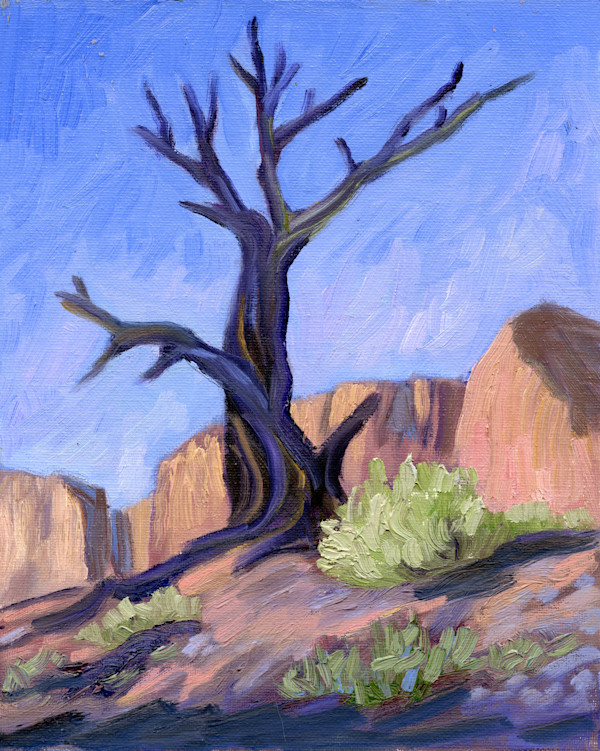 Juniper on the Ridge by Faith Rumm, Image 1.