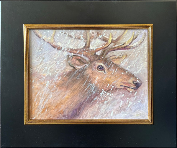 Elk by Faith Rumm