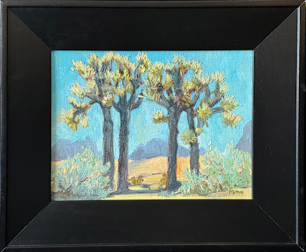 Joshua Trees, High Noon