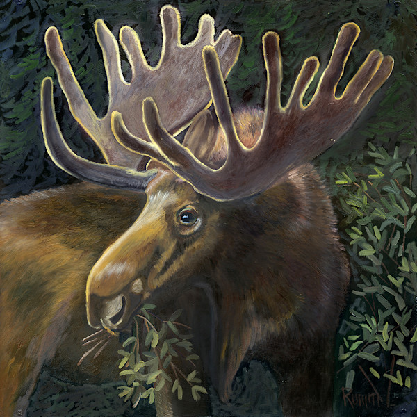 Ambassadors, Moose by Faith Rumm, Image 1.