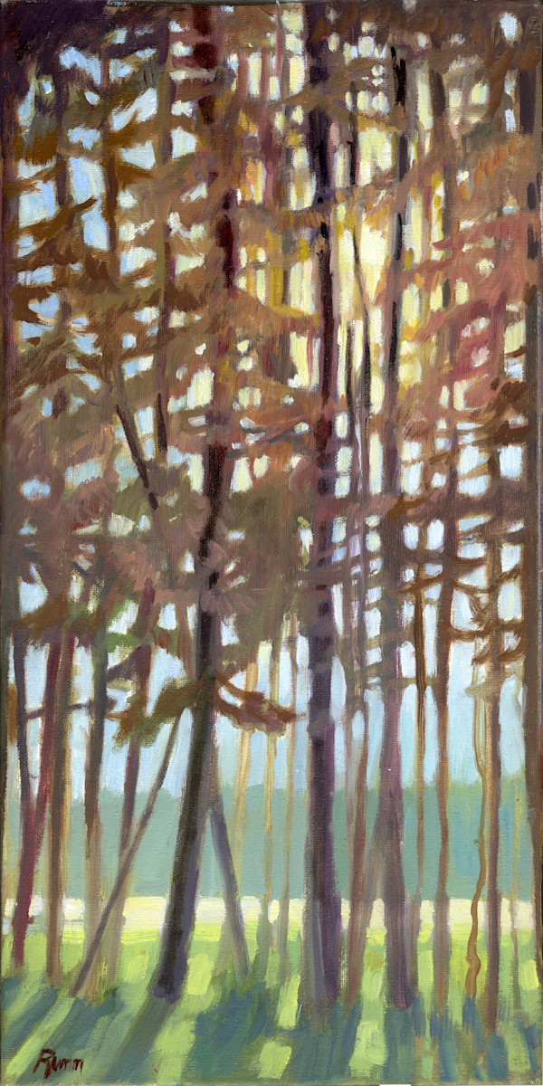 Morning Sun Through Lodgepoles by Faith Rumm, Image 9.