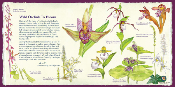 z CA100 Castle Crags