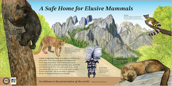 z Castle Crags New MAMMALS by Faith Rumm