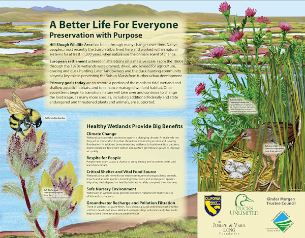 z HILL SLOUGH a Better Life for Everyone by Faith Rumm