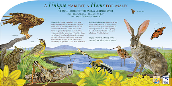 z  WARM SPRINGS Unique Habitat by Faith Rumm