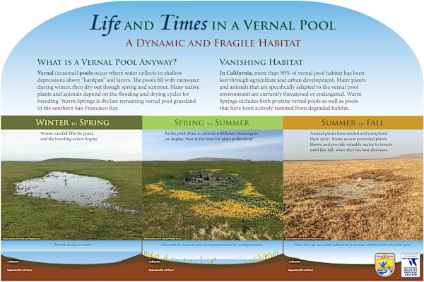 z  WARM SPRINGS Vernal Pools by Faith Rumm