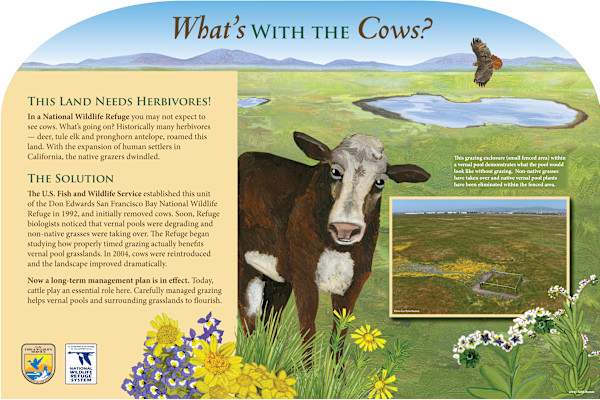 z  WARM SPRINGS What's With the Cows? by Faith Rumm