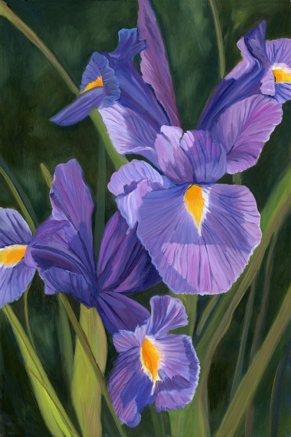 Purple Iris by Faith Rumm