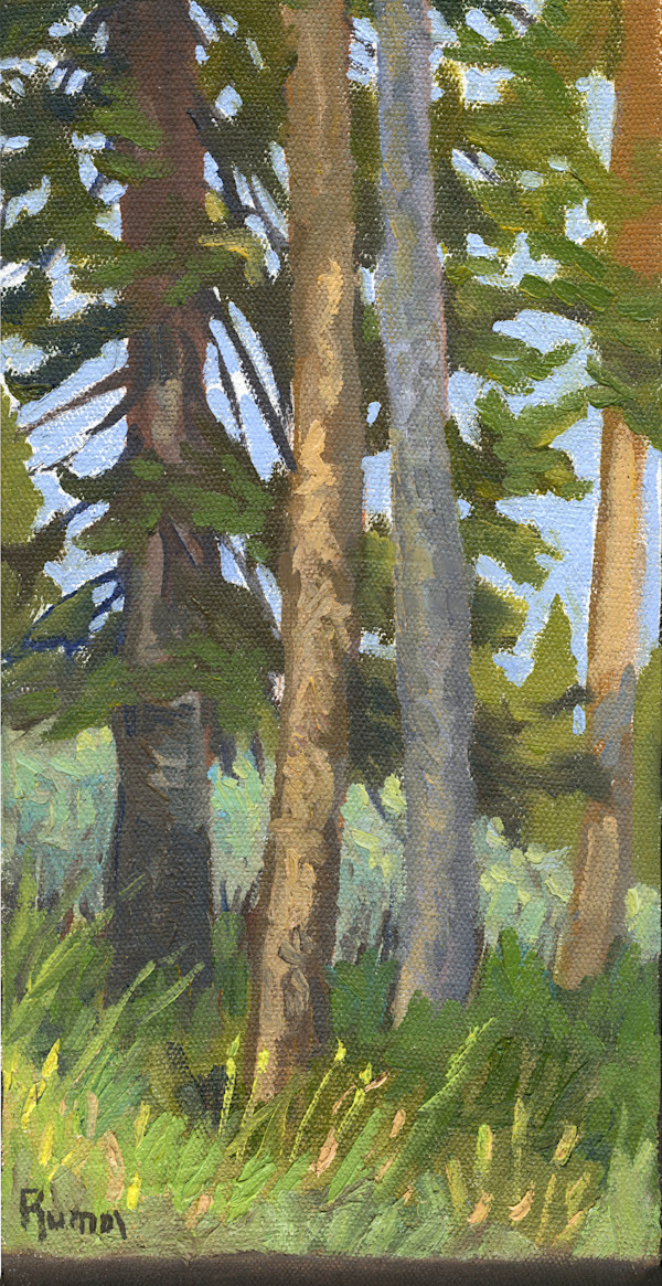 In the Company of Trees by Faith Rumm